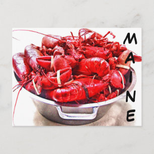 Maine Lobster Postcard
