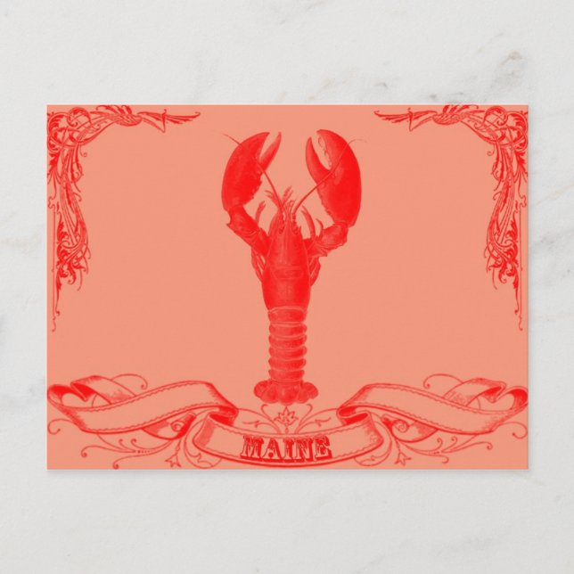 maine lobster postcard (Front)