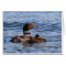 Maine Loon with babies Card