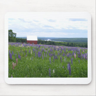 Maine Lupines Field Stockholm, ME Mouse Mat