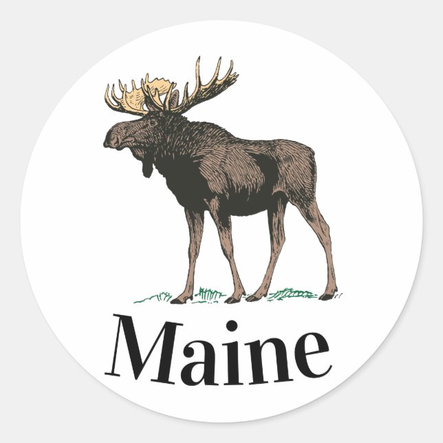 Maine Moose Classic Round Sticker (Front)