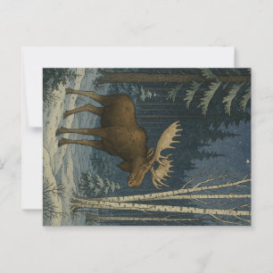 Maine Moose in Winter Snow                         Postcard
