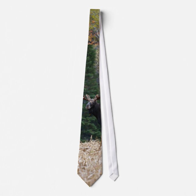 Maine Moose Yearling Tie (Front)
