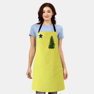 Maine old flag (1901) apron