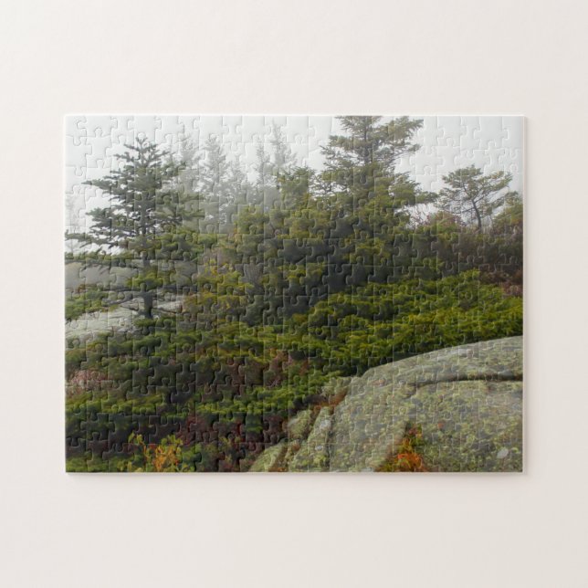 Maine Pine Boulders Acadia Photo Jigsaw Puzzle (Horizontal)