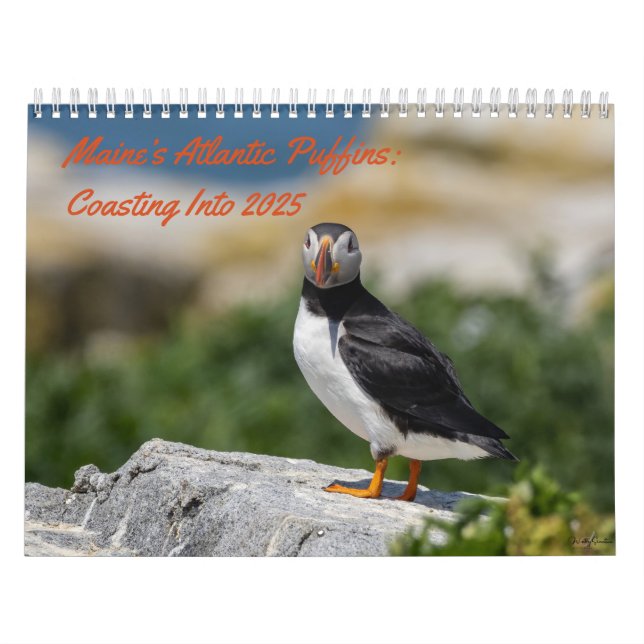 Maine’s Puffins: Coasting Into 2025 Calendar (Cover)