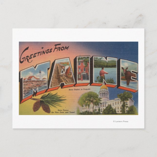 Maine (State Capital/Flower)Large Letter Postcard (Front)