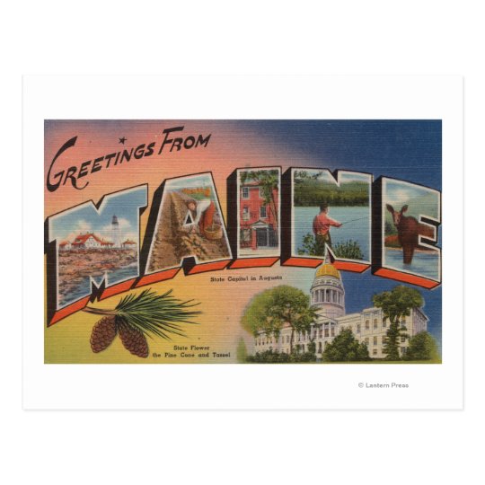 Maine (State Capital/Flower)Large Letter Postcard
