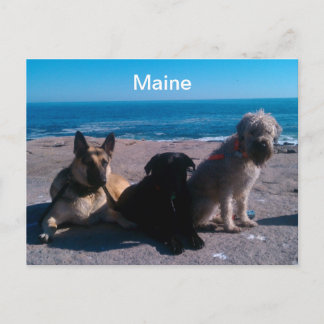 Maine Vacation Postcard