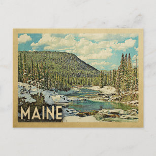 Maine Vintage Travel Snowy Winter Nature Postcard