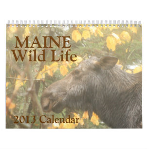 Maine Wild Life 2013 Calendar