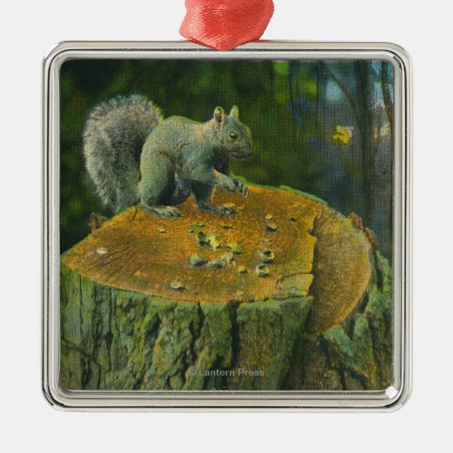 MaineA Little Nutcracker Squirrel from Maine Metal Tree Decoration (Front)