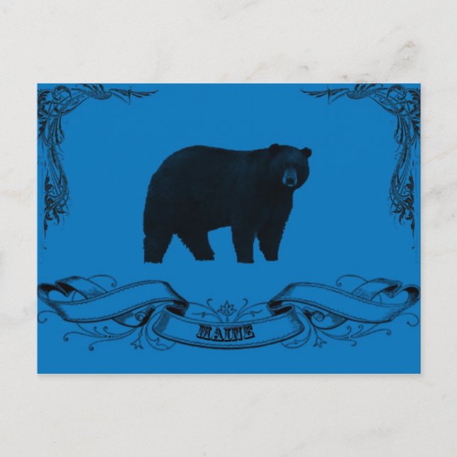 mainebbear postcard (Front)