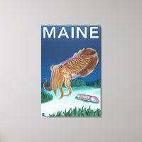 MaineCuttlefish Scene