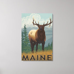 MaineElk Scene Canvas Print