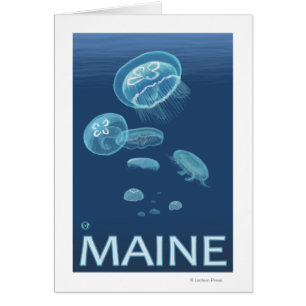 MaineJellyfish Scene