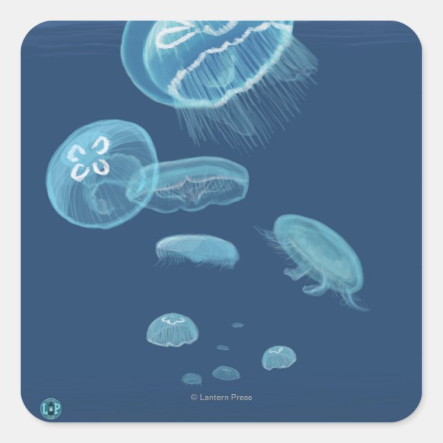MaineJellyfish Scene Square Sticker (Front)
