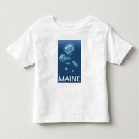MaineJellyfish Scene