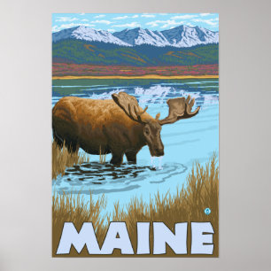 MaineMoose Drinking in Lake Poster