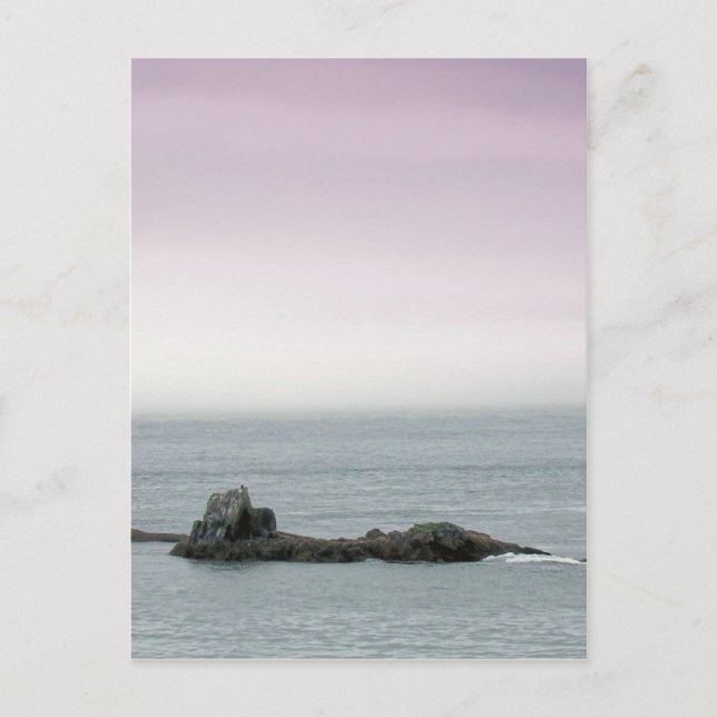 Maine's Coastal Seascape Postcard (Front)