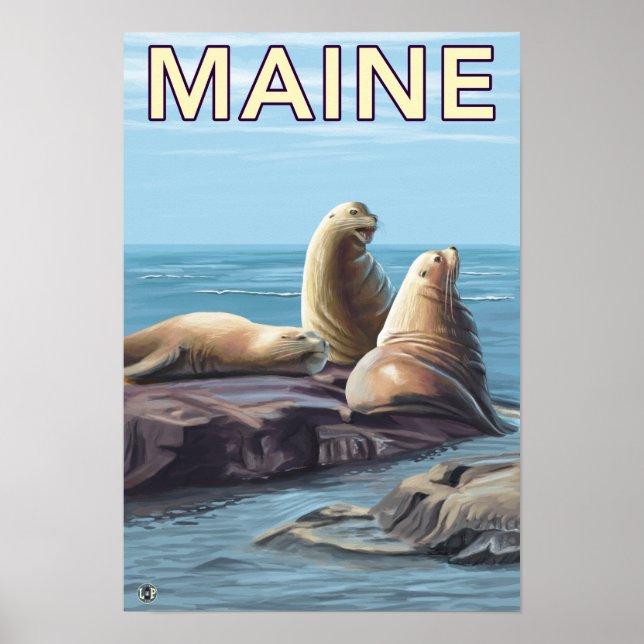 MaineSea Lions Scene Poster (Front)