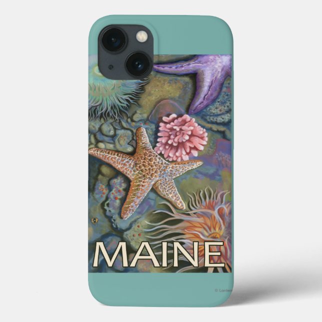 MaineTidepool Scene Case-Mate iPhone Case (Back)