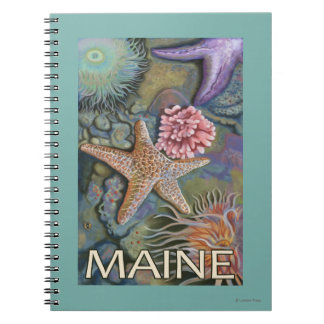 MaineTidepool Scene Notebook