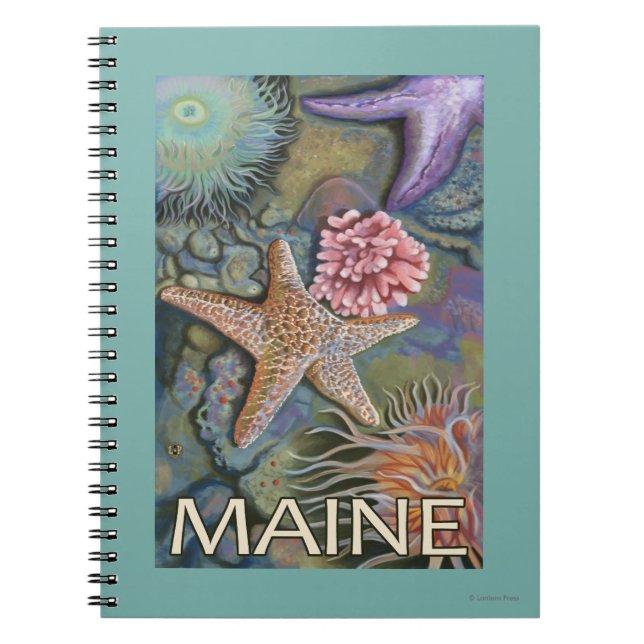 MaineTidepool Scene Notebook (Front)