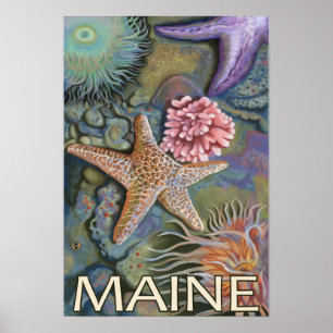 MaineTidepool Scene Poster