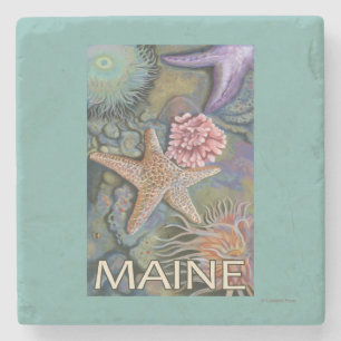 MaineTidepool Scene Stone Coaster