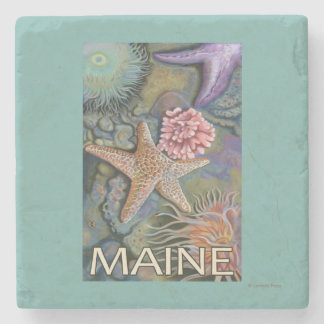 MaineTidepool Scene Stone Coaster