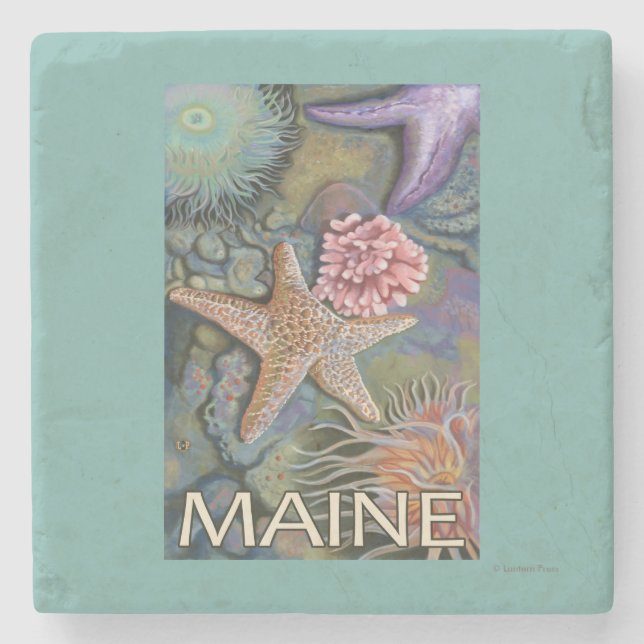 MaineTidepool Scene Stone Coaster (Front)