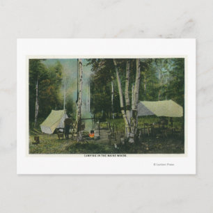 MaineView of a Campground in the Maine Woods Postcard
