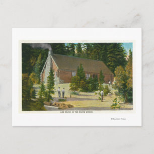 MaineView of a Log Cabin in the Maine Woods Postcard