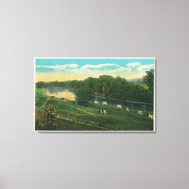 MaineView of Cows Homeward Bound Canvas Print (Front)