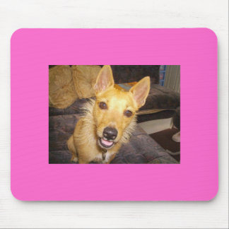 'Maisie' The Jack Russell Mouse Mat