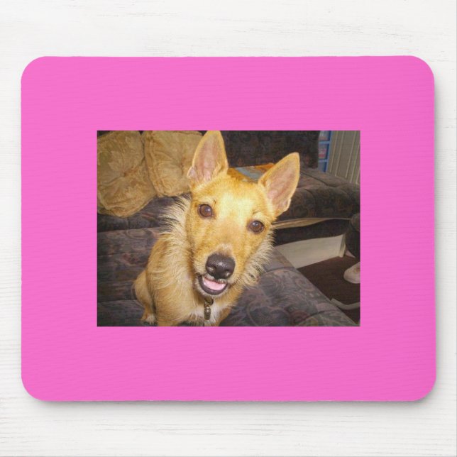 'Maisie' The Jack Russell Mouse Mat (Front)