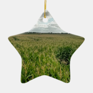 Maize maze ceramic tree decoration