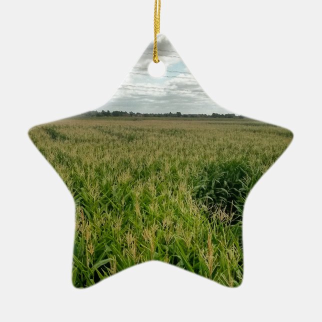 Maize maze ceramic tree decoration (Front)
