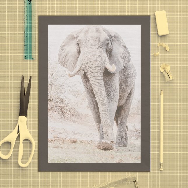 Majestic African Elephant Photograph Tissue Paper (Creator Uploaded)