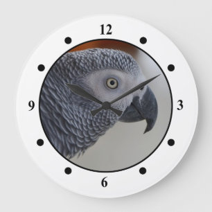 Majestic African Grey Parrot Large Clock
