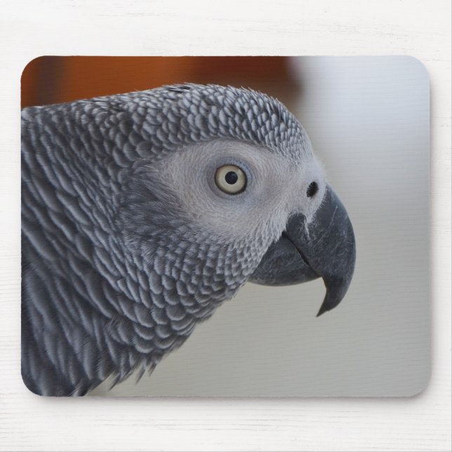Majestic African Grey Parrot Mouse Mat (Front)
