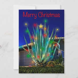 Majestic Agave on single sided flat holiday card