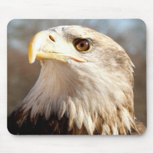 Majestic American Eagle Mouse Mat