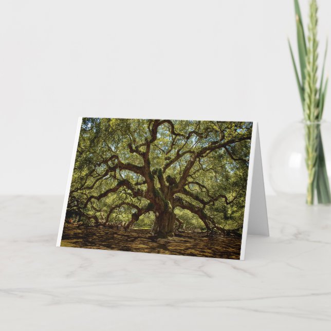Majestic Angel Oak Card (Front)