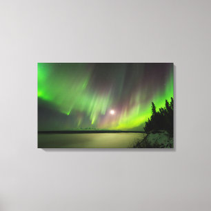 Majestic Aurora Canvas Print