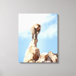 Majestic Baboon on Mountain Peak Canvas Print