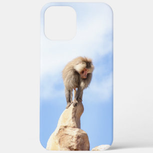 Majestic Baboon on Mountain Peak iPhone 12 Pro Max Case