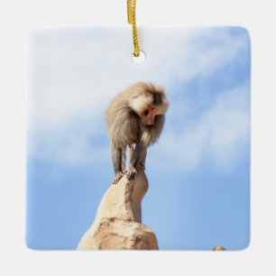 Majestic Baboon on Mountain Peak Ceramic Ornament