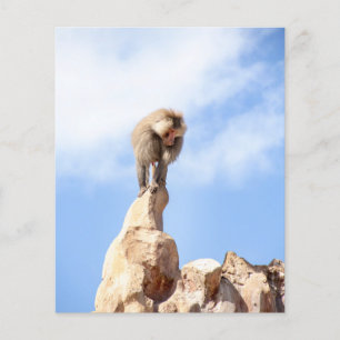 Majestic Baboon on Mountain Peak Flyer
